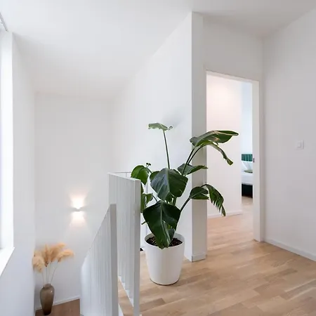 Luxury & Stylish Maslina 10 M From The Sea Villa *